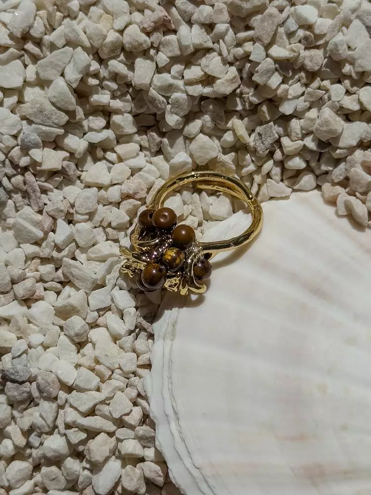 Кольцо (коричневый). Изображение № 1