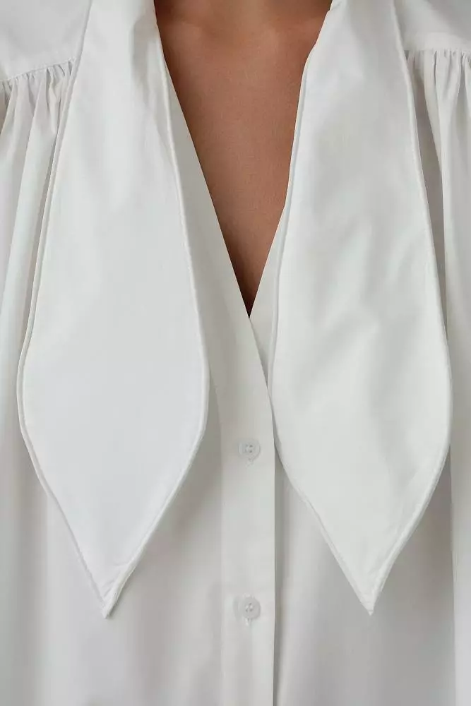 Блуза (L (46RU), белый). Изображение № 6