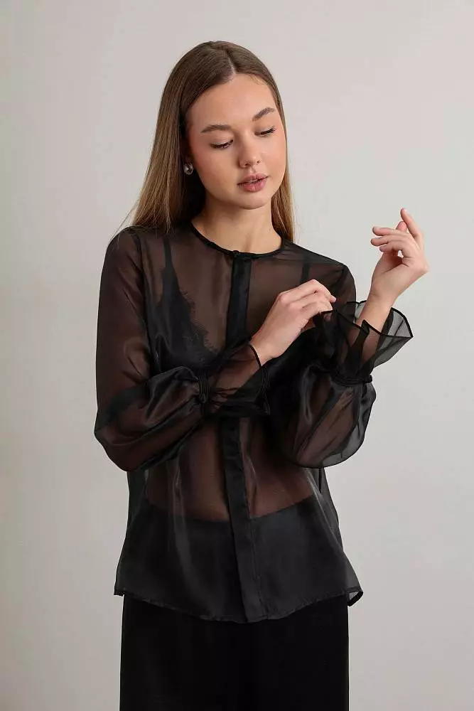 Блуза (L (46RU), чёрный). Изображение № 1